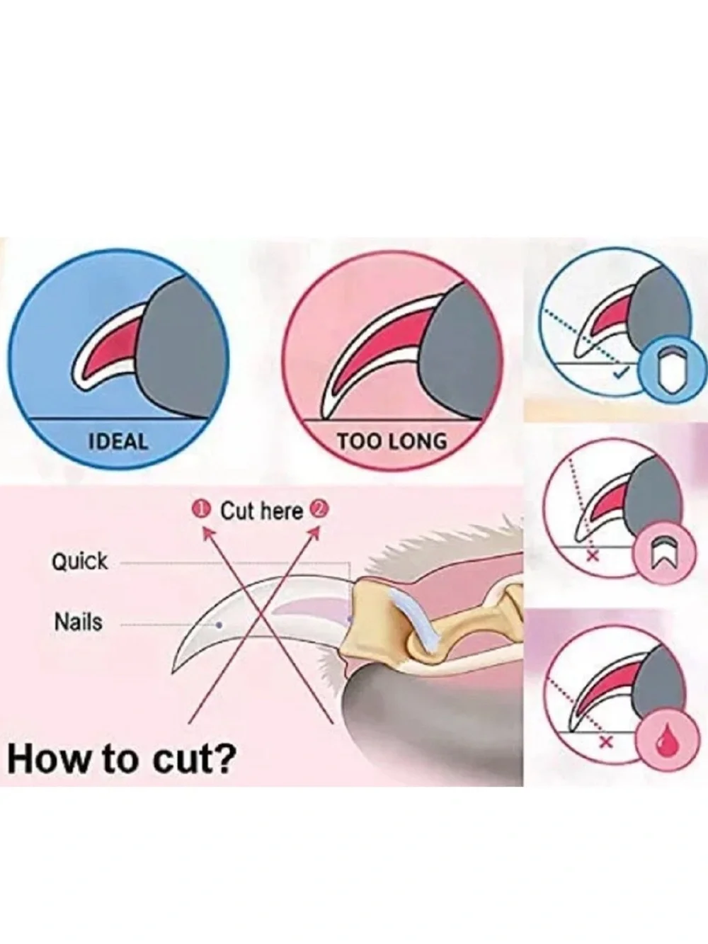 Professional Pet Nail Clippers